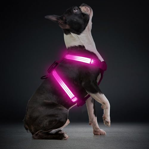 LED Hundegeschirr für kleine Hunde USB-C Wiederaufladbares Beleuchtetes Hundegeschirr Leuchtet Im Dunkeln welpengeschirr xs s Hundeweste Reflektierend für Nachtspaziergänge (Rosa) von ChalkLit