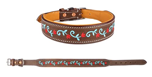 CHALLENGER 60BT02 Hundehalsband, gepolstert, Leder, Blumenstickerei, Größe S, 33-43 cm von Challenger