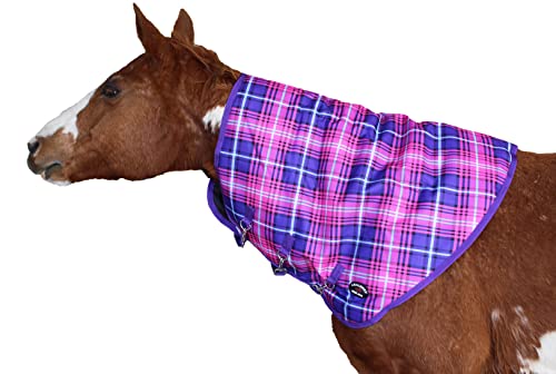 CHALLENGER Horse 52040-L Winterdecke, groß, 1200D, wasserdicht, Mähne, Pferdehalsschutz, Violett CHALLENGER Horse 52040-L Winterdecke, groß, 1200D, wasserdicht, Mähne, Pferdehalsschutz, Violett von Challenger
