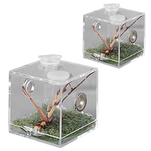 Insekt Spider Reptile Terrarium Cage, Transparenter Kunststoff Reptile Breeding Box Viewing Box for Spider Cricket Snail Tarantulas (Color : 2pcs, Size : 5.2x5.2x5.2cm) von Chamber