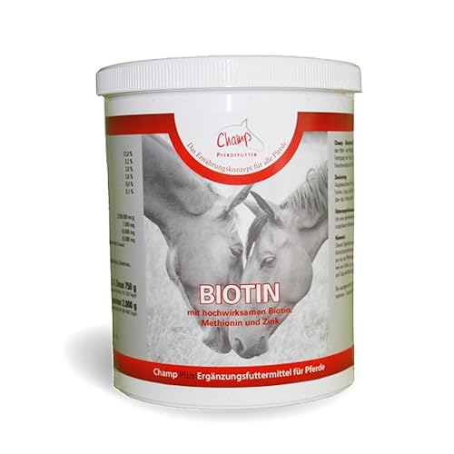 Champ Biotin für Pferde, 750 g von Champ