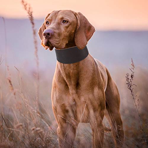 Changor Braun Haustier Halsband, Rindfleisch Gemacht Hund Hals Qualität Material Sanft Martingale Hund, zum Klein Hund Windhund Whippet von Changor
