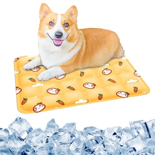 Changtai Kühlmatte für Hunde und Katzen, wasserdichte Haustiermatte 50x40 cm, Selbst Kühlende Matte Hunde, Große Reisedecke Haustier für Camping Unterweg Changtai Kühlmatte für Hunde und Katzen, wasserdichte Haustiermatte 50x40 cm, Selbst Kühlende Matte Hunde, Große Reisedecke Haustier für Camping Unterweg von Changtai