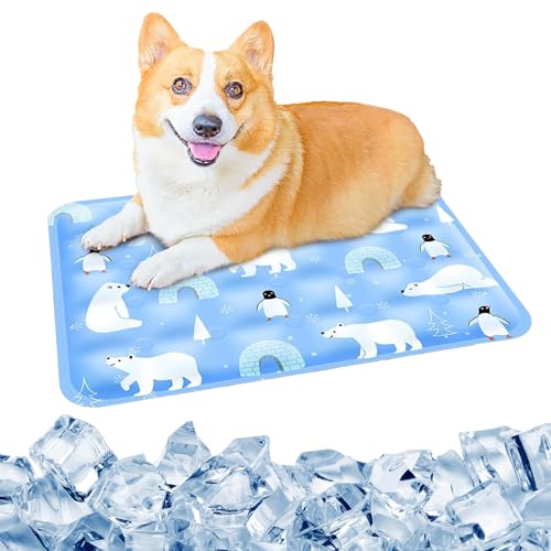 Changtai Kühlmatte für Hunde und Katzen, wasserdichte Haustiermatte 50x40 cm, Selbst Kühlende Matte Hunde, Große Reisedecke Haustier für Camping Unterweg Changtai Kühlmatte für Hunde und Katzen, wasserdichte Haustiermatte 50x40 cm, Selbst Kühlende Matte Hunde, Große Reisedecke Haustier für Camping Unterweg von Changtai