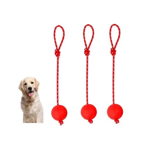 Changyeah 3 Stück Elastische Hundespielzeug Ball mit Seil,mit Schnur Naturkautschuk Hunde Ball Weich und Elastisch Hundebälle, Wurfball mit Seil für Große & Kleine Hunde von Changyeah