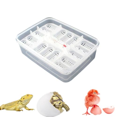 Changyeah Reptilien-Zuchtbox,16 Gitter transparenter Eierbrutkasten, Brutkasten für Reptilien-Eier, Reptilien-Zuchtbox, Sichere Brut-Reptilien-Zuchtbox,für Geckos(Transparente Farbe) von Changyeah
