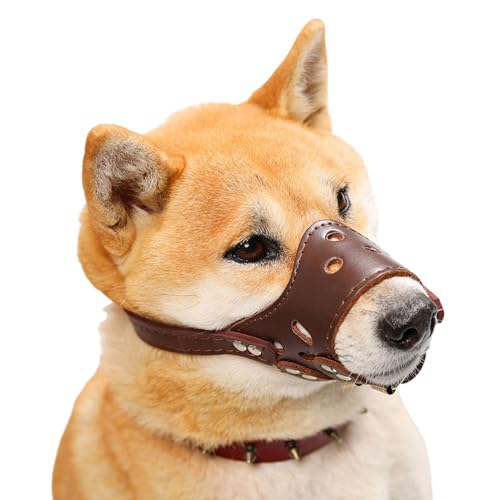 Maulkorb Für Hunde,Verstellbare Welpenmaulkörbe,Mittelgroße Hunde Maulkorb,Maulkorb Kleine Hunde,Verhindert Fressen,Beißen und Kauen,für Training,Spaziergänge und Tierarztbesuche Maulkorb Für Hunde,Verstellbare Welpenmaulkörbe,Mittelgroße Hunde Maulkorb,Maulkorb Kleine Hunde,Verhindert Fressen,Beißen und Kauen,für Training,Spaziergänge und Tierarztbesuche von Chaoyilian