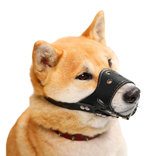 Maulkorb Für Hunde,Verstellbare Welpenmaulkörbe,Mittelgroße Hunde Maulkorb,Maulkorb Kleine Hunde,Verhindert Fressen,Beißen und Kauen,für Training,Spaziergänge und Tierarztbesuche Maulkorb Für Hunde,Verstellbare Welpenmaulkörbe,Mittelgroße Hunde Maulkorb,Maulkorb Kleine Hunde,Verhindert Fressen,Beißen und Kauen,für Training,Spaziergänge und Tierarztbesuche von Chaoyilian