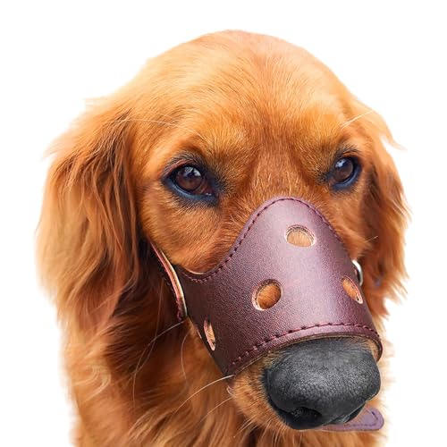 Mittelgroße Hunde Maulkorb,Hund Maulkorb,Maulkorb Für Hunde,Verstellbare Welpenmaulkörbe,Maulkorb Kleine Hunde,Ermöglicht Hecheln und Trinken,für Verhindert Beißen,Kauen und Bellen Mittelgroße Hunde Maulkorb,Hund Maulkorb,Maulkorb Für Hunde,Verstellbare Welpenmaulkörbe,Maulkorb Kleine Hunde,Ermöglicht Hecheln und Trinken,für Verhindert Beißen,Kauen und Bellen von Chaoyilian