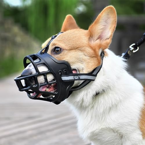 Mittelgroße Hunde Maulkorb,Maulkorb Für Hunde,Maulkorb für große Hunde,Verstellbare Welpenmaulkörbe,Maulkorb Kleine Hunde,Ermöglicht Hecheln,Trinken,für Kleine Mittlere Große Hunde Mittelgroße Hunde Maulkorb,Maulkorb Für Hunde,Maulkorb für große Hunde,Verstellbare Welpenmaulkörbe,Maulkorb Kleine Hunde,Ermöglicht Hecheln,Trinken,für Kleine Mittlere Große Hunde von Chaoyilian