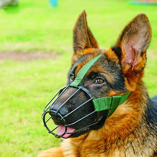 Mittelgroße Hunde Maulkorb,Maulkorb für große Hunde,Maulkorb Für Hunde,Hund Maulkorb,Verstellbarer Maulkorb für Hunde,Verhindert Fressen,Beißen und Kauen,für große mittelgroße Hunde Mittelgroße Hunde Maulkorb,Maulkorb für große Hunde,Maulkorb Für Hunde,Hund Maulkorb,Verstellbarer Maulkorb für Hunde,Verhindert Fressen,Beißen und Kauen,für große mittelgroße Hunde von Chaoyilian