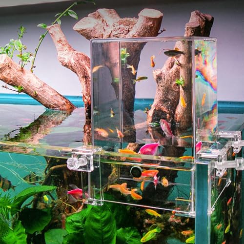 Acryl-Aquariumwürfel | Acryl-Fischturmbecken | Überwasseraquarium | Aquarium für die ökologische Landschaftsgestaltung Praktischer Beobachtungs- und Sichtbereich Erhöhen Sie den Fischaktivitätsraum üb von Chappal