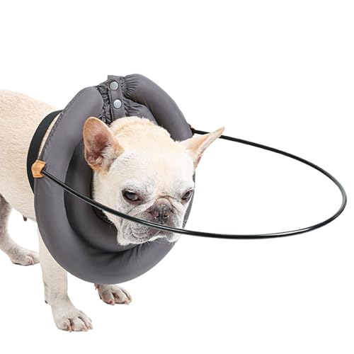 Halo-Geschirr für blinde Hunde | Führungsgerät für Haustiergeschirre | Hunde-Halo-Halsband | Antikollisionsring für Haustiere, Zubehör für blinde Hunde | Schutzwestenring für Haustiere, Leitgerät, Ges von Chappal