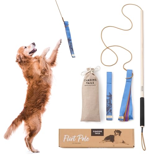 Chasing Tails - 91,4 cm Flirtstange Chasing Tails - 91,4 cm Flirtstange von Chasing Tails