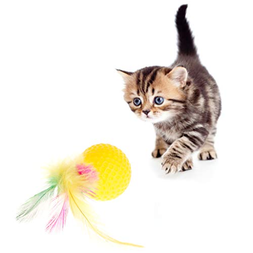 Chaunce Katzenspielzeug, rund, mit Federn, Spielzeug für Katzen, interaktiv, mit Quietschelement, aus Kunststoff von Chaunce