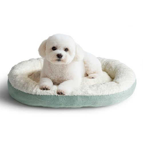 Kleines Hundebett,Flauschige Anti-angst beruhigende Hundebetten,Hundebett orthopäDisch mit stüTzbaren Kanten,waschbar,mit Rutschfester unterlage,Geeignet FüR Kleine Hunde,Katzen,50x40x8cm,Hellblau Kleines Hundebett,Flauschige Anti-angst beruhigende Hundebetten,Hundebett orthopäDisch mit stüTzbaren Kanten,waschbar,mit Rutschfester unterlage,Geeignet FüR Kleine Hunde,Katzen,50x40x8cm,Hellblau von Cheerhom