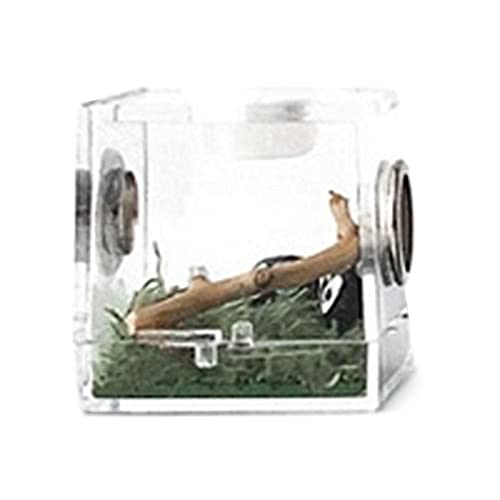 Chen0-super 1 Stück Aufzuchtbox - Transparente Insektenfütterungsboxen - Tragbares Reptiliengehege aus Acryl - Aufzuchtbehälter mit Metalllüftungsloch - für Spinne, Eidechse, Skorpion, Tausendfüßler von Chen0-super