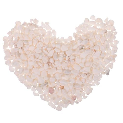 Chencunquangod 500g Naturkies Dekosteine, natürlich polierte Kieselsteine für Blumentöpfe Flussfelsen für Landschaftsbau, Vasenfüller, Aquarium und Gartendekoration von Chencunquangod