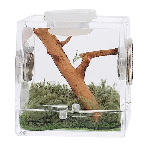 Spinne Terrarium Transparent Acryl Reptilien Futterbox Nagelbehälter Springspinne Gehege Box von ChengChengJin