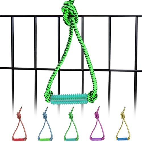 ChengFu Interaktives Hundespielzeug, Kisten-Trainingshilfe für Welpen, Zahnspielzeug für Welpen, Erdnussbutter, Hundefutter, Leckerli-Spender, Spielzeug (grün) von ChengFu