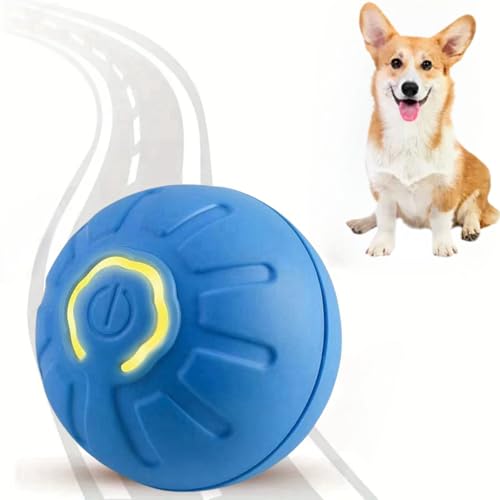 Ball für Katzen und Hunde, selbstrollender Ball, bewegliches interaktives Hundespielzeug, aktives bewegliches Haustier-Plüschspielzeug, interaktives rollendes Hundespielzeug, bewegliche Bälle für Ball für Katzen und Hunde, selbstrollender Ball, bewegliches interaktives Hundespielzeug, aktives bewegliches Haustier-Plüschspielzeug, interaktives rollendes Hundespielzeug, bewegliche Bälle für von ChengJin