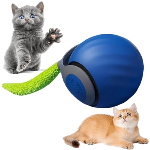 Speedy Tail Katzenspielzeug, wiederaufladbar, über USB wiederaufladbar, intelligenter interaktiver Katzenspielzeug/Y-Ball, automatisch beweglicher Katzenball mit Schwanz, interaktives Spielzeug für Speedy Tail Katzenspielzeug, wiederaufladbar, über USB wiederaufladbar, intelligenter interaktiver Katzenspielzeug/Y-Ball, automatisch beweglicher Katzenball mit Schwanz, interaktives Spielzeug für von ChengJin