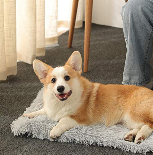 Chenge Flauschige Haustierbett-Decke, selbstwärmend, 2-in-1 Plüschdecke und Donut-Bett-Nest, weiche Haustierkissen-Matte für Katzen, Welpen, Hunde, drinnen und draußen, 40 x 30 cm Chenge Flauschige Haustierbett-Decke, selbstwärmend, 2-in-1 Plüschdecke und Donut-Bett-Nest, weiche Haustierkissen-Matte für Katzen, Welpen, Hunde, drinnen und draußen, 40 x 30 cm von Chenge