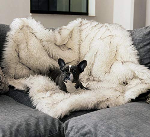 Chenge Premium Haustierdecke für mittelgroße und große Hunde, 150 x 125 cm, extra große Plüschdecke, dick, weich, warm, Haustierdecke, Haustierdecke, Schlafmatte, weiches Kissen von Chenge