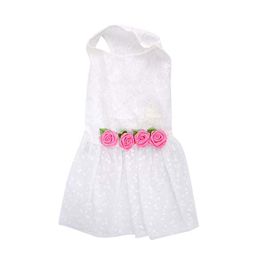 Hundespitzenkleid, Prinzessinrock, modische niedliche zarte Spitzenblumenpartykleid für kleine Hunde, Elastizität Bequeme Hundetätigkeit mit stilvoller Spitze für Hochzeiten Fotos (M) von ChengyuWei