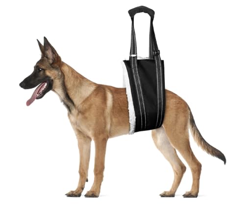 Tragehilfe Einstellbar Gehhilfe Hund, Verstellbare Gehhilfe für Hunde in verschiedenen Größen, Hundegeschirr für die Rehabilitation für behinderte, verletzte oder ältere Hunde Tragehilfe Einstellbar Gehhilfe Hund, Verstellbare Gehhilfe für Hunde in verschiedenen Größen, Hundegeschirr für die Rehabilitation für behinderte, verletzte oder ältere Hunde von Chenivesss