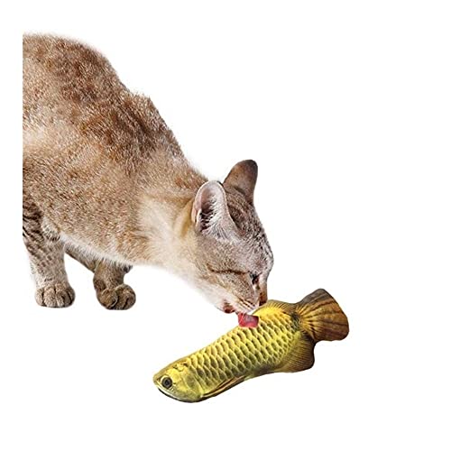 Haustier-Plüsch-3D-Fisch-Form-Katze-Spielzeug Interactive Geschenke Fish Catnip Spielzeug Kuschelkissen Puppe Simulation Fische, Spielzeug for Haustiere Jumping (Color : Arowana, Size : 20cm) von Chenran