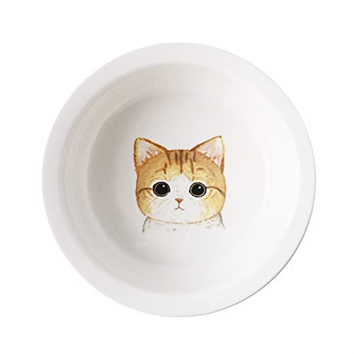 Keramik Welpe Katze Hund Hundeschüssel Einzelne und doppelte Lebensmittelschüssel zum Essen und Trinken mit Holzrahmen Haustiere liefert (Color : Yellow cat) von Chenran