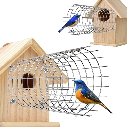 Bluebird House Schutzgitter aus Edelstahl, Vogelhaus, Raubtierschutz, Vogelhaus, Eingang, Schutz, um Raubtiere fernzuhalten (2 Stück, rund) von Chephon