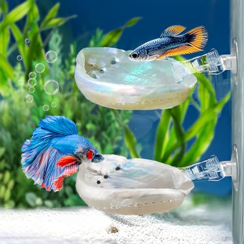 Betta Hängematte mit Saugtasche,Handpolierte natürliche Shell Betta Fish Resting Spot House,Aquarium Zubehör Dekorationen Shell Bett für kleine Fische Ruhe und Laichen Zuchtunterstützung (2 PCS) von Chestnut-YX