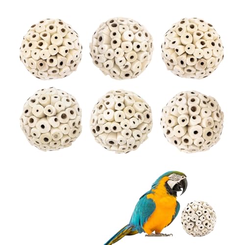 CheurYae 6 Stück Vogel Kauspielzeug,Natürlicher Sola-Kugel,Schnabel, Kauspielzeug für Papageien, Nymphensittiche, Sittiche, Wellensittiche und andere kleine Vögel CheurYae 6 Stück Vogel Kauspielzeug,Natürlicher Sola-Kugel,Schnabel, Kauspielzeug für Papageien, Nymphensittiche, Sittiche, Wellensittiche und andere kleine Vögel von CheurYae