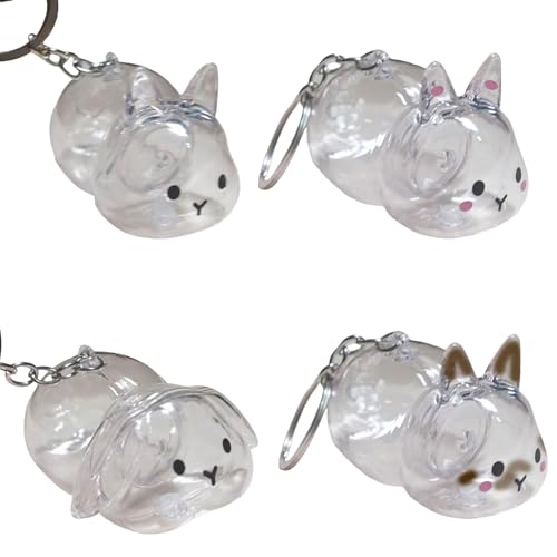 Chevnzev Funktionelle Kaninchen Form Keepsakes Anhänger Keychain Bunnies Haarspeicher Kiste Klar Haustierfell Organisatoren Bag Charme Geschenk Klarer Kaninchenminderte Miniatur Organisatoren von Chevnzev