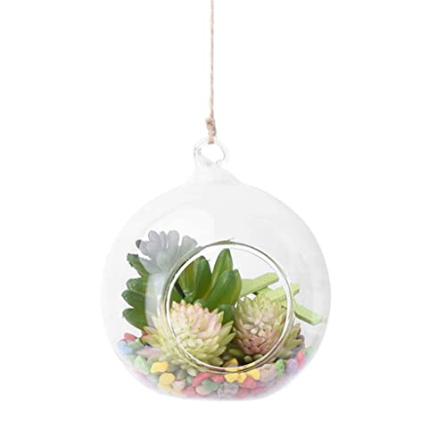 Hanging Glass Terrarium Tea Hellkerzenhalter Succulents Vase Hanger Für Home Wedding Party Innenlinge Outdoor Dekoration Hanging Glass Terrarium Tea Hellkerzenhalter Succulents Vase Hanger Für Home Wedding Party Innenlinge Outdoor Dekoration von Chevnzev