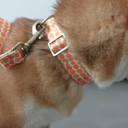 Hundekragen Leine Set Dekorativ von Chevnzev