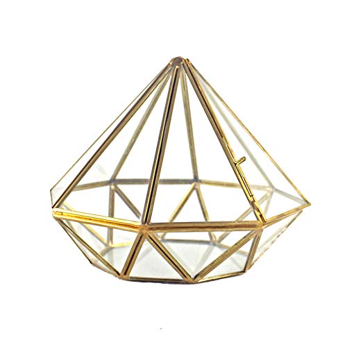 Klares Glaspentagon Geometrische Terrarium Behälter Fenster Billel Blumentopf Balkon Pflanzer Display Box von Chevnzev