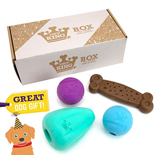 Chew King Hundebox CM-10101-CS01 Hundespielzeug, robust, für Leckerli und Kauspielzeug, Blaugrün, Größe XL von Chew King