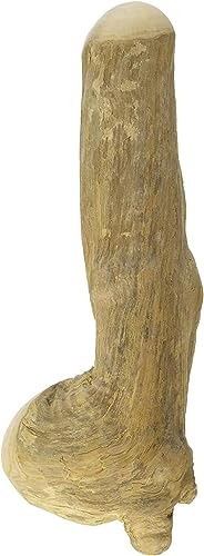 Chewies Kaustab für Hunde - Kauknochen aus Kaffeeholz - splitterfrei und langlebig - natürliches Kauspielzeug - Größe L: Für Hunde ab 20 kg Körpergewicht von Chewies