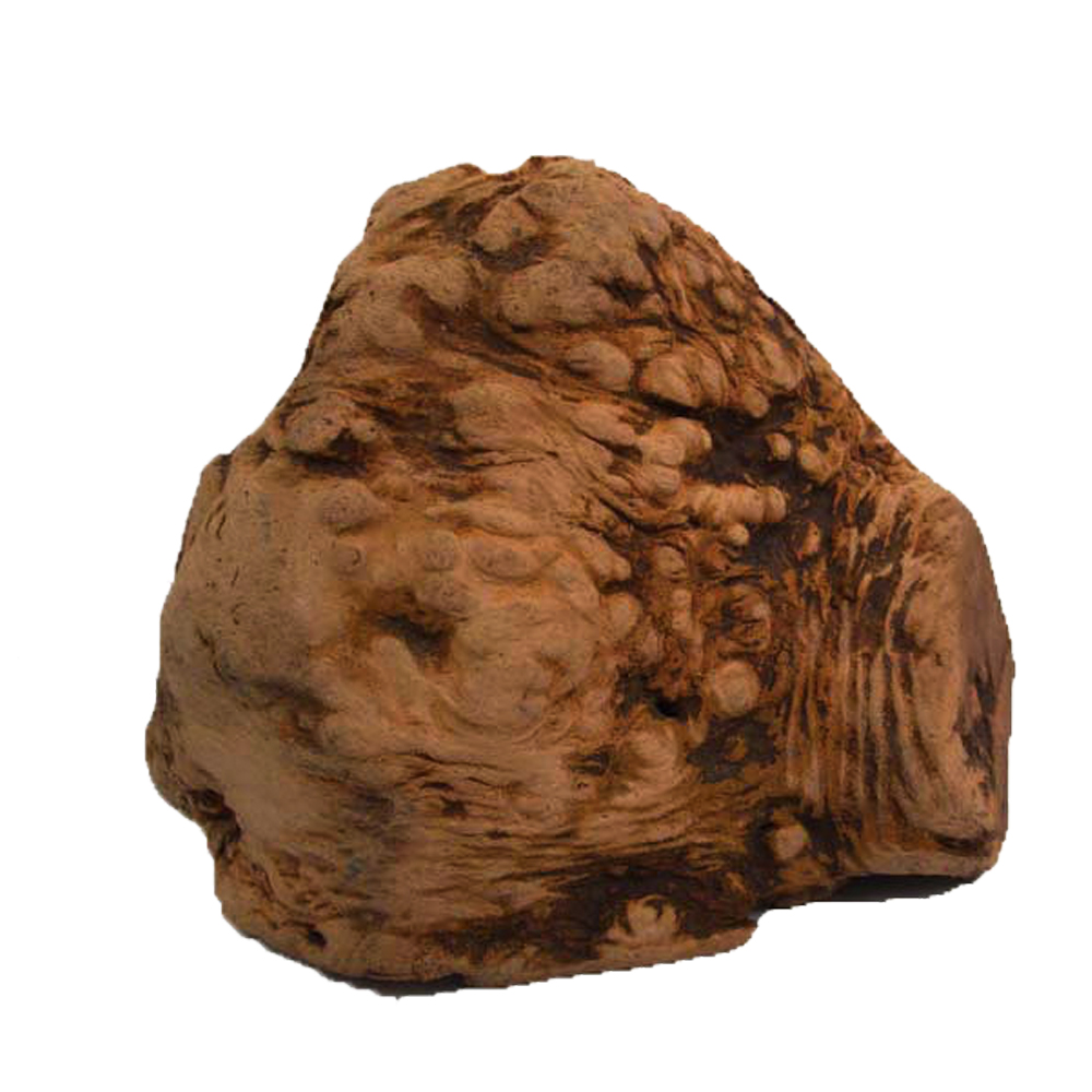 Chewies Kauwurzel für Hunde und Welpen - Größe L (ca. 300 g) von Chewies