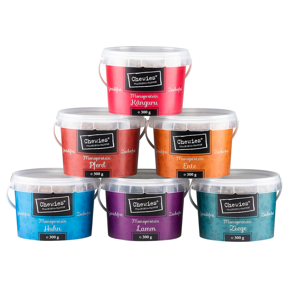 Chewies Trainings-Happen Monoprotein Mixpaket - 6 x 300 g (6 Sorten) von Chewies
