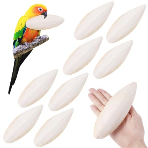 Chewtoyo 8 Stück kalziumreiche Vogelschnitzelspielzeug, ideal für Sittiche, Nymphensittiche, Schildkröten und Reptilien von Chewtoyo