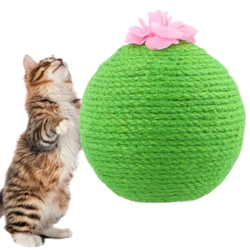Chewtoyo Interaktives Haustierspielzeug für Katzen, Haustierballspielzeug für Katzen, Welpen, Indoor-Aktivitätsspieltraining, Katzenkratzball, natürliche Schwester, Katzenkratzzeug Chewtoyo Interaktives Haustierspielzeug für Katzen, Haustierballspielzeug für Katzen, Welpen, Indoor-Aktivitätsspieltraining, Katzenkratzball, natürliche Schwester, Katzenkratzzeug von Chewtoyo