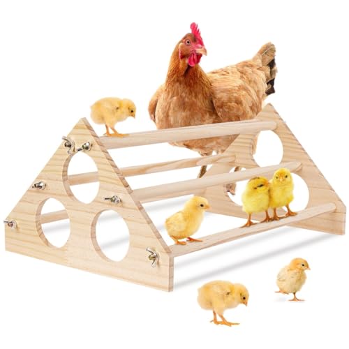 Holz-Kükenständer, Roosting Bar für Stall, Huhn-Dschungel-Fitness-Studio Sitzstange mit 6, 41 x 27 x 18 cm von Chewtoyo