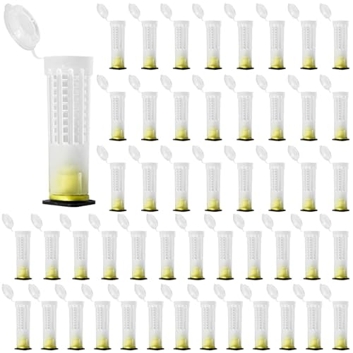 Queen Bee Kunststoffkäfige – belüftetes Design, sicherer Deckel, 2,5 x 2,2 x 7,6 cm, ideal zum Schutz der Bienenkönigin vor Insekten und Staub, 50 Stück von Chewtoyo