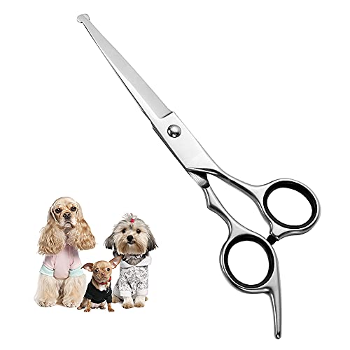 Professionelle Hundeschere mit runder Spitze aus Edelstahl, Augenschneider für Hunde und Katzen, professionelles Fellpflege-Werkzeug, Größe 17 x 6,6 x 1,1 cm Professionelle Hundeschere mit runder Spitze aus Edelstahl, Augenschneider für Hunde und Katzen, professionelles Fellpflege-Werkzeug, Größe 17 x 6,6 x 1,1 cm von Chi-buy