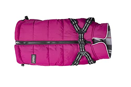 CHIARA Winterjacke mit Geschirr Modell MAX Größe XL (Material: 100% Polyester, Hundewinterjacke mit integriertem Fleece-Futter, Step-in, anpassbare Länge, maschinenwaschbar), Farbe: Violett von CHIARA