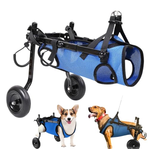 Chichenshangwu Hunderollstuhl für Hinterbeine, Hunderollstuhlwagen, Hunde-/Katzenrollstühle mit behinderten Hinterbeinen, geeignet für 5–10 kg kleine Hunde, ältere Hunde, behinderte Hunde, Größe M von Chichenshangwu